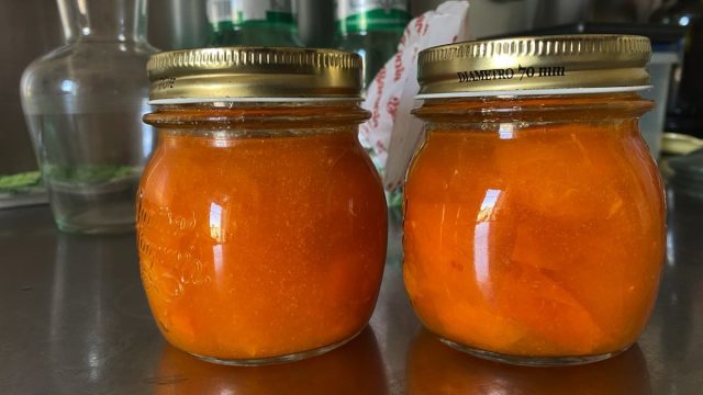 Crafting Gourmet Apricot Preserve: A Timely Guide