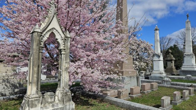 Discovering Laurel Hill: A Historical Gem Beyond Its Graves