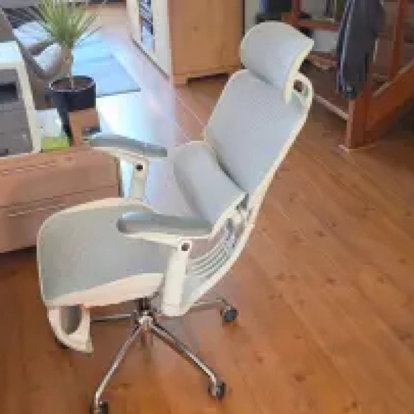 Transform Your Workspace with the Sihoo Doro C300 Pro V2 Chair