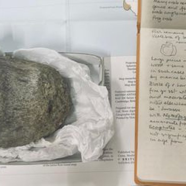 Unlocking the Past: A Groundbreaking Dinosaur Discovery in Antarctica
