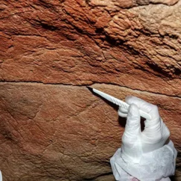 Unlocking the Secrets of Our Ancestors: Ancient DNA from Cave Art