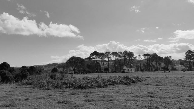 Exploring the Modern Role of Country Doctors in Rural Healthcare