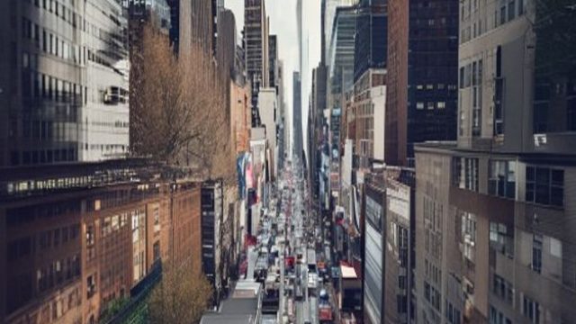 The Rise of Progressive Forces in New York Politics